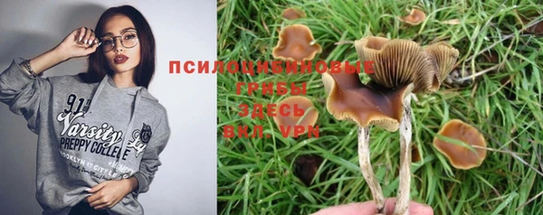 метадон Верея