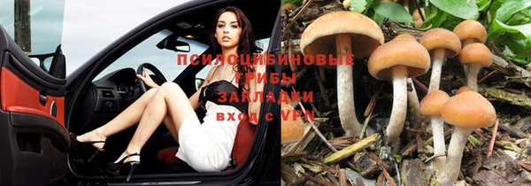 метадон Верея