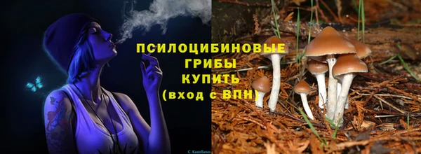 метадон Верея
