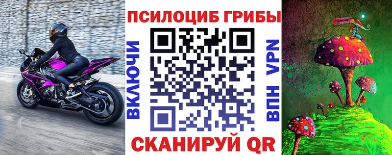 сколько стоит  Кизел  маркетплейс клад  Псилоцибиновые грибы ЛСД 