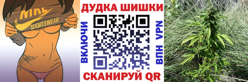 цена наркотик  Кизел  Бошки марихуана ГИДРОПОН 